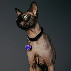 PET TAG - Hard Jewelry™