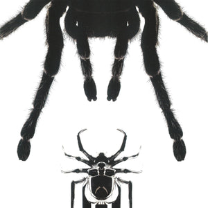 SPIDER HAIR CLIP - Hard Jewelry™